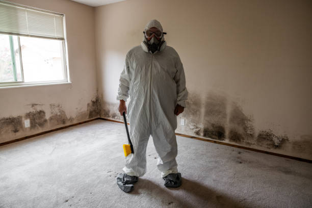 Best Bathroom Mold Remediation in Caledonia, MS